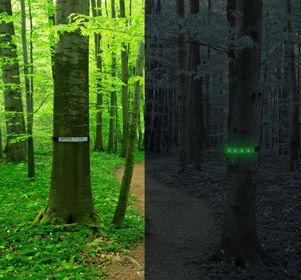 Whether you are marking a path to your campsite or a trail in the woods, these reflective trail markers will guide the way during the day or night. At dusk, simply press the button on the trail marker to illuminate the LEDs within. The trail markers have two illumination settings, solid and flashing. 